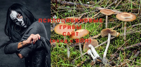 мяу мяу мука Арсеньев