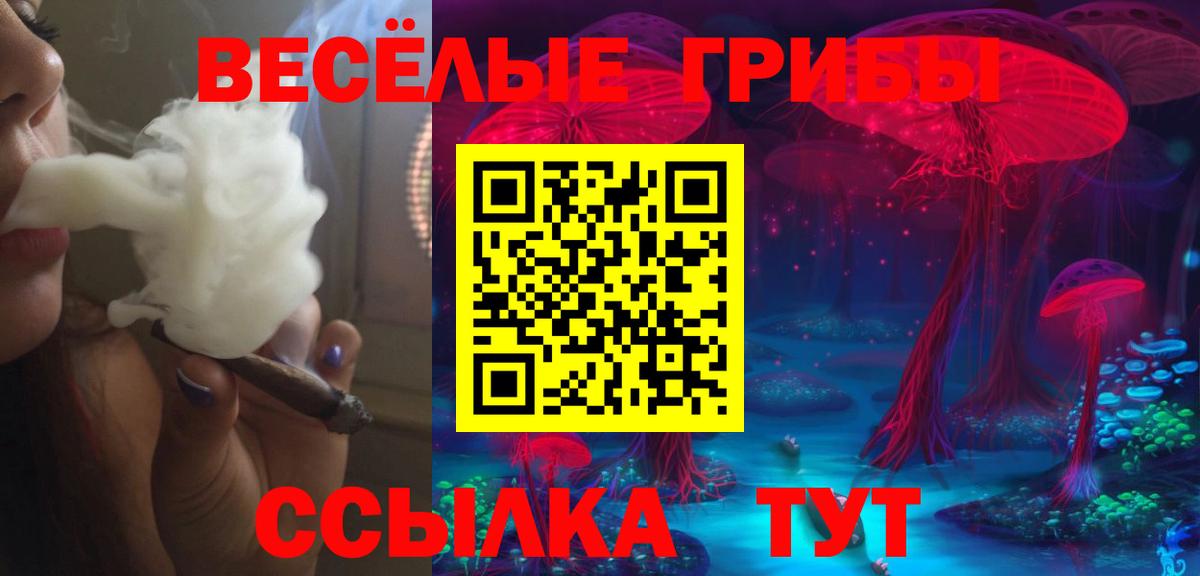 Псилоцибиновые грибы Psilocybine cubensis  Псилоцибиновые грибы Cubensis  Вход с VPN  Моздок 